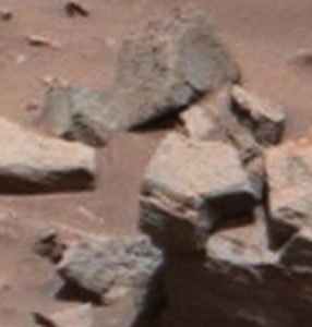 Cabeza de animal con forma de cabeza metálica en Marte