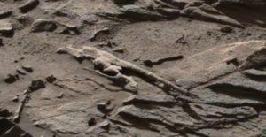 A strange looking creature or structure on Mars