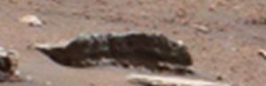 A stone or predator on Mars