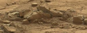 Curiosityn rikkoma kivieläin. Huomaa metalliset piikit