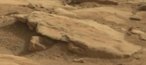 Animal de pedra plana parcialmente enterrado na areia