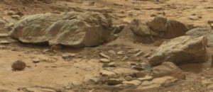 Animais de pedra, um dos quais é atropelado pela Curiosity