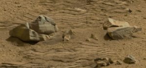 A stone animal run over by Curiosity. Metallic inner parts visible.