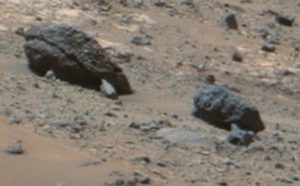 Animais de pedra com peças de metal em Marte